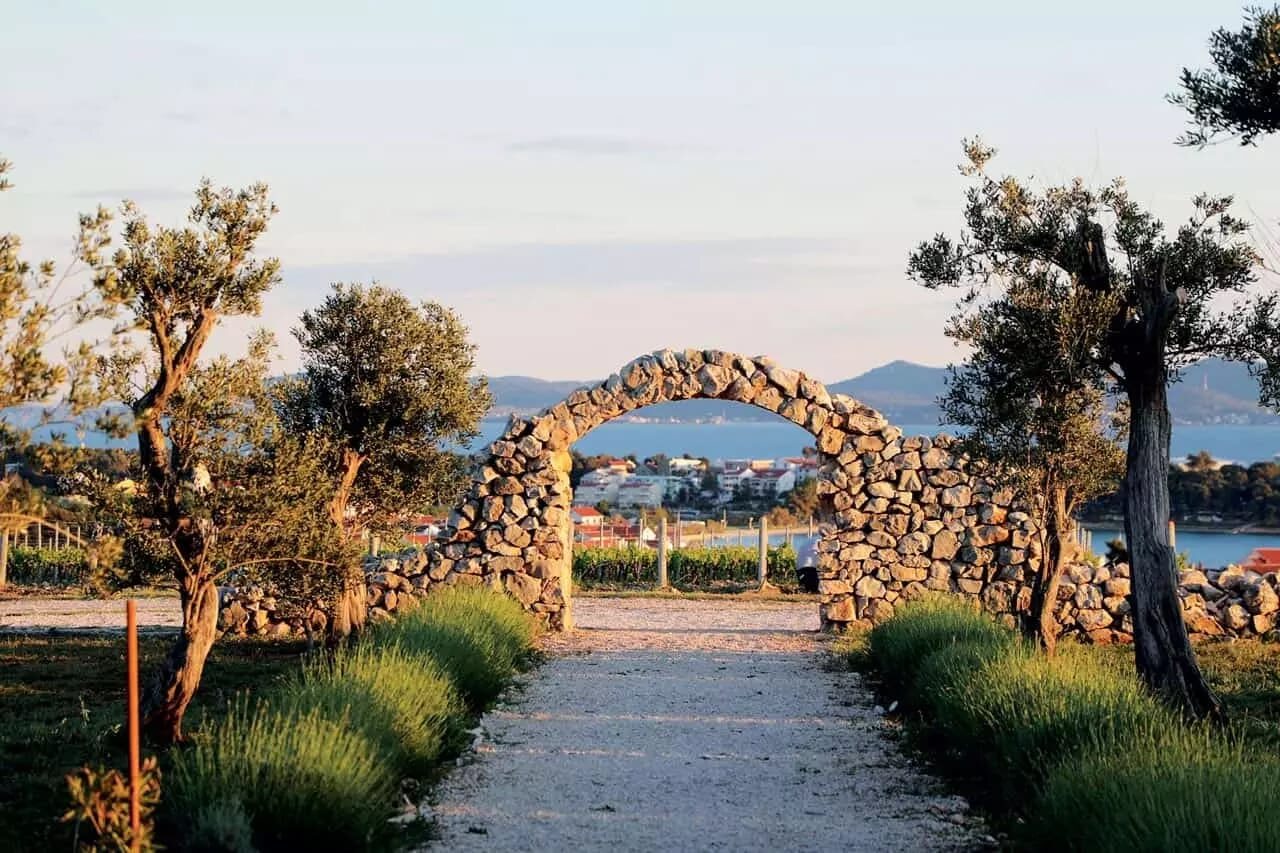Kraljevski vinogradi vineyard view